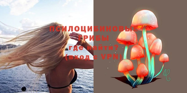 ешки Алзамай