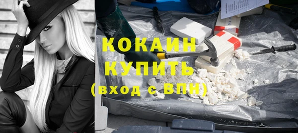 соль ск Абаза