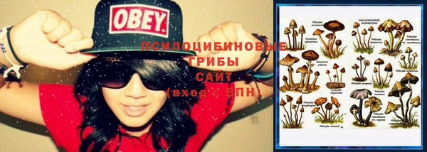 таблы Алексеевка