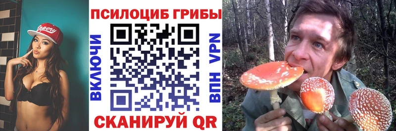 наркошоп  Райчихинск  МЕГА   Псилоцибиновые грибы Psilocybine cubensis 