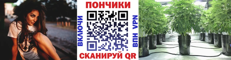 МАРИХУАНА White Widow  Райчихинск 